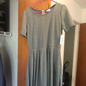 XL LLR Amelia